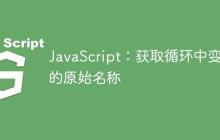 JavaScript：获取循环中变量的原始名称