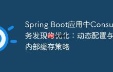 Spring Boot应用中Consul服务发现的优化：动态配置与内部缓存策略