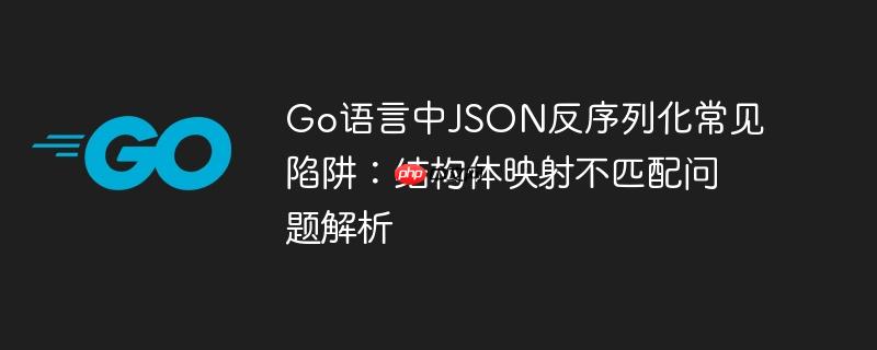 Go语言中JSON反序列化常见陷阱:结构体映射不匹配问题解析
