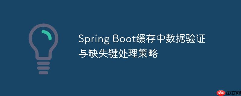 Spring Boot缓存中数据验证与缺失键处理策略
