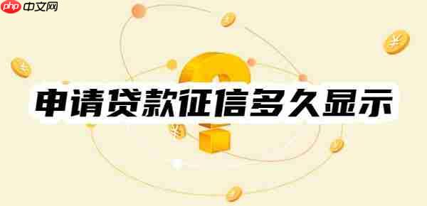 一文看懂：申请贷款征信多久显示？显示多久？怎么显示的？