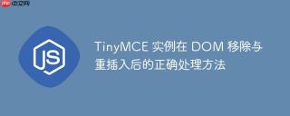 TinyMCE 实例在 DOM 移除与重插入后的正确处理方法