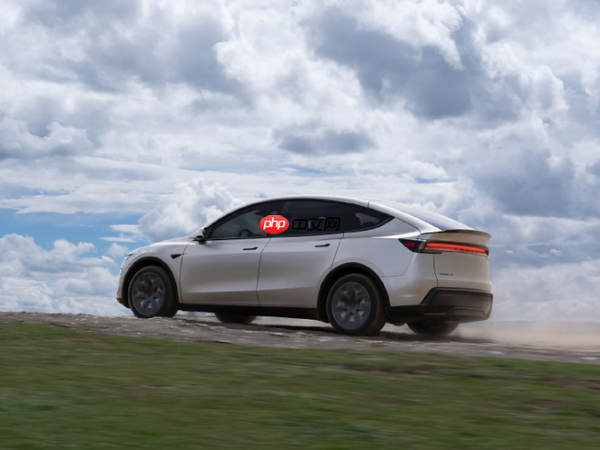 8月中国中型SUV销量榜出炉:Model Y仍第一 但大跌16%