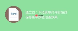 纯CSS：下拉菜单打开时如何保持菜单按钮动画效果