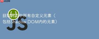 获取网页中所有自定义元素（包括Shadow DOM内的元素）