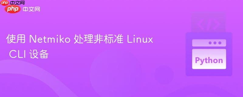 使用 Netmiko 处理非标准 Linux CLI 设备