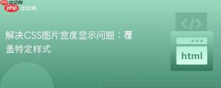 解决CSS图片宽度显示问题：覆盖特定样式
