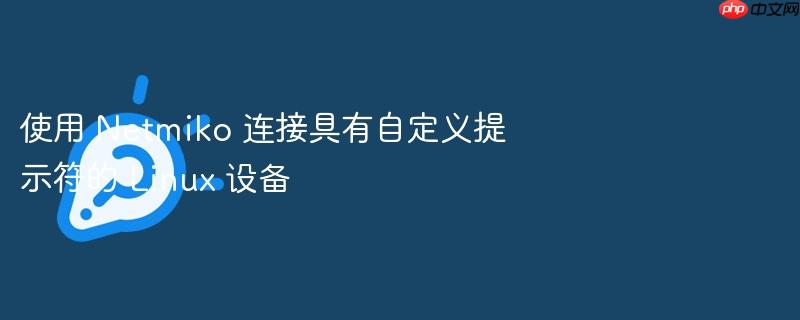 使用 netmiko 连接具有自定义提示符的 linux 设备