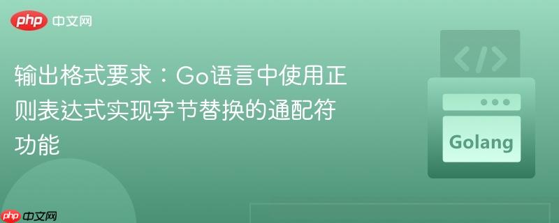 输出格式要求：Go语言中使用正则表达式实现字节替换的通配符功能