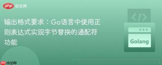 输出格式要求:go语言中使用正则表达式实现字节替换的通配符功能