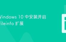如何在 Windows 10 中安装并启用 PHP fileinfo 扩展