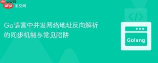 Go语言中并发网络地址反向解析的同步机制与常见陷阱