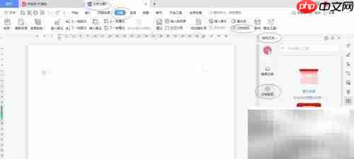 WPS文字2022文档发现设置