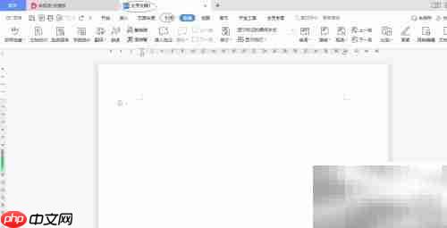 WPS文字2022文档发现设置