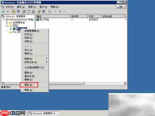 Win2003 IIS绑定域名教程
