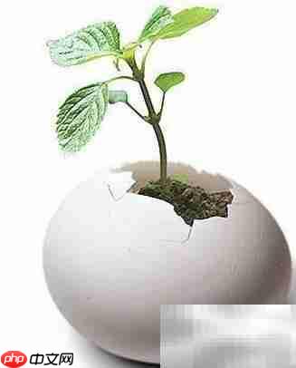 成为网络技术高手的秘诀