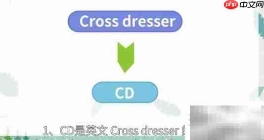 CD是什么意思？一文读懂