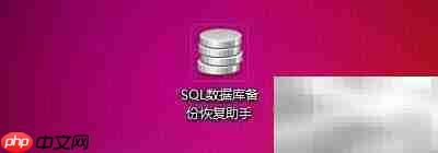 SQL数据库备份助手开机自启设置