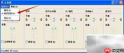 声音高级控制灰色解决方法
