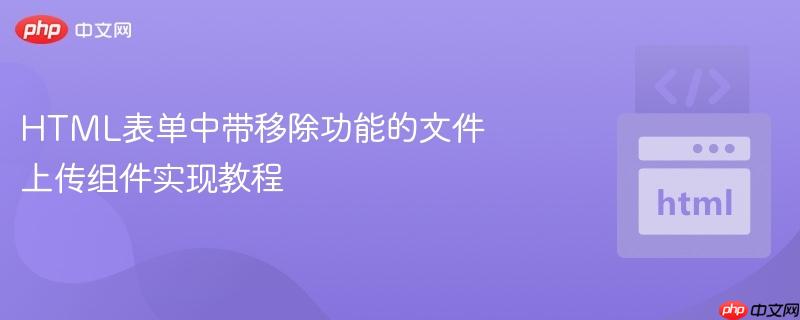 HTML表单中带移除功能的文件上传组件实现教程