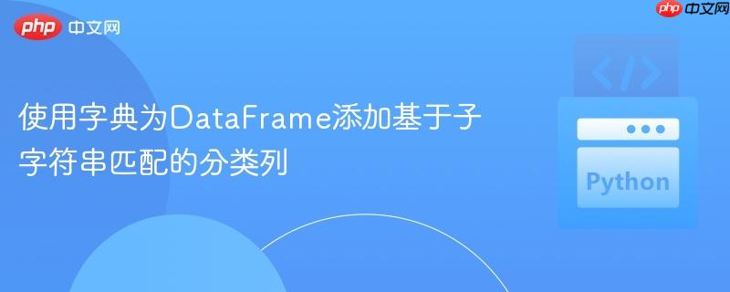 使用字典为DataFrame添加基于子字符串匹配的分类列
