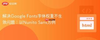 解决Google Fonts字体权重不生效问题：以Nunito Sans为例