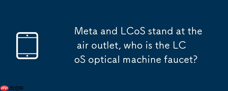 Meta 携 LCoS 站上风口,谁是 LCoS 光机龙头?