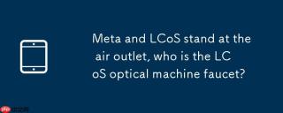 Meta 携 LCoS 站上风口，谁是 LCoS 光机龙头？