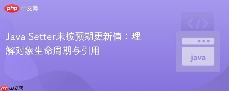 Java Setter未按预期更新值：理解对象生命周期与引用