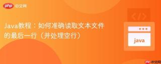 Java教程：如何准确读取文本文件的最后一行（并处理空行）