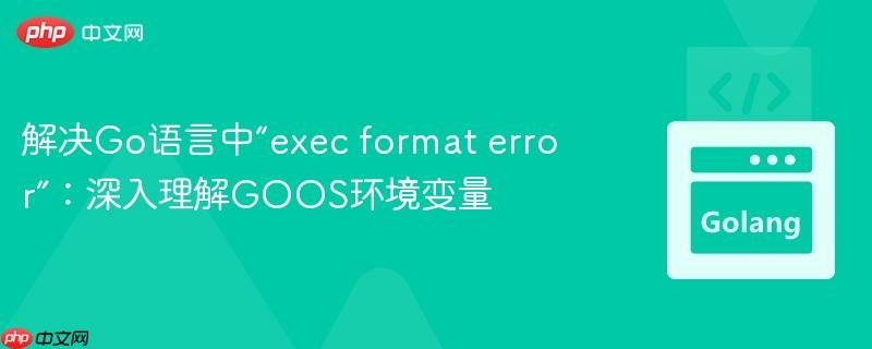 解决Go语言中“exec format error”：深入理解GOOS环境变量
