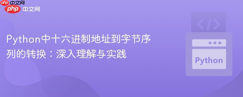 Python中十六进制地址到字节序列的转换：深入理解与实践