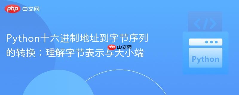Python十六进制地址到字节序列的转换:理解字节表示与大小端