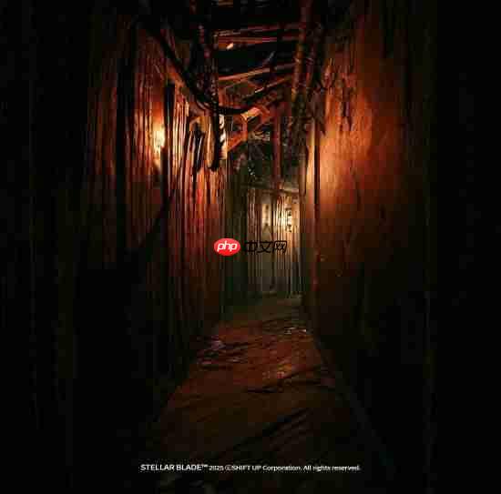 Fandom Wire预测索尼发布会内容 你觉得会有哪些游戏？