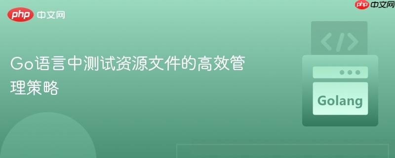 Go语言中测试资源文件的高效管理策略

