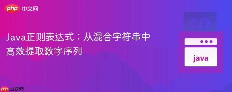 Java正则表达式:从混合字符串中高效提取数字序列