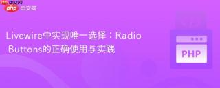 Livewire中实现唯一选择:Radio Buttons的正确使用与实践