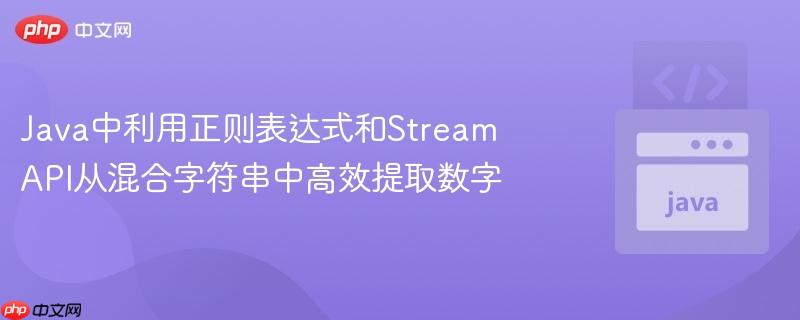 java中利用正则表达式和stream api从混合字符串中高效提取数字