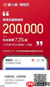 有钱花借十万一个月还款金额是多少