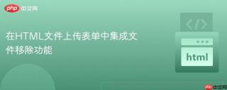 在HTML文件上传表单中集成文件移除功能
