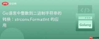 Go语言中整数到二进制字符串的转换：strconv.FormatInt 的应用