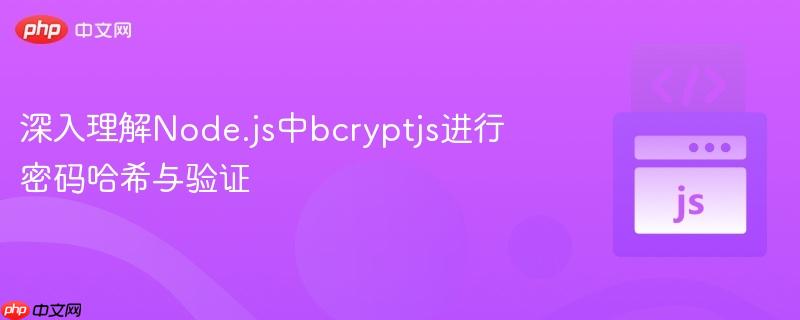 深入理解Node.js中bcryptjs进行密码哈希与验证