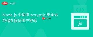 Node.js 中使用 bcryptjs 安全地存储与验证用户密码