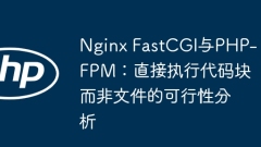nginx fastcgiおよびphp-fpm:ファイルの代わりにコードブロックの直接実行の実現可能性分析