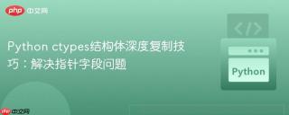 Python ctypes结构体深度复制技巧：解决指针字段问题
