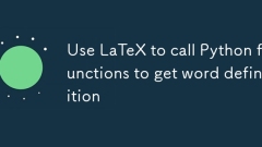 ラテックスを使用してPython関数を呼び出して単語定義を取得します