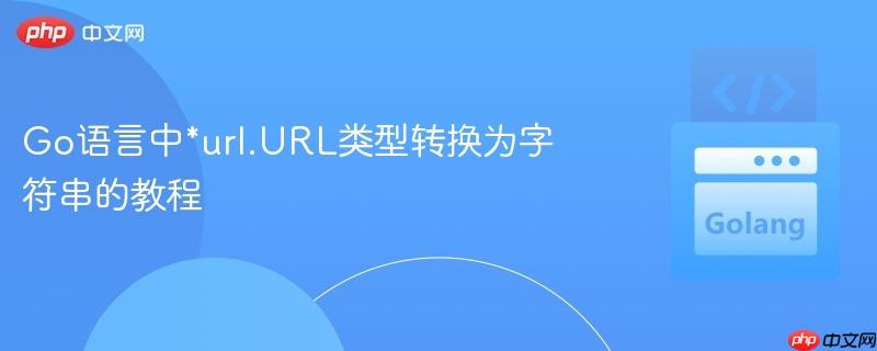 Go语言中*url.URL类型转换为字符串的教程
