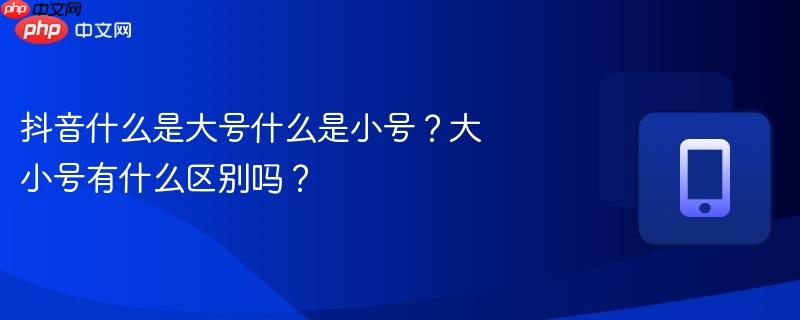 抖音什么是大号什么是小号?大小号有什么区别吗?
