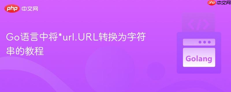 Go语言中将*url.URL转换为字符串的教程