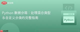 Python 数据分箱：处理混合类型与自定义分类的完整指南